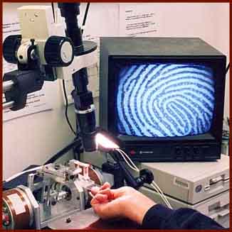 Hands, fingerprints & biometry.