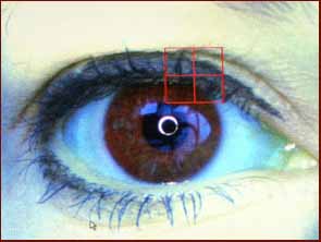 FBI wants iris scan