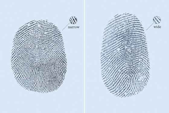 The science of gaydar: fingerprint