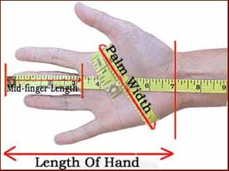 Height & digit ratio