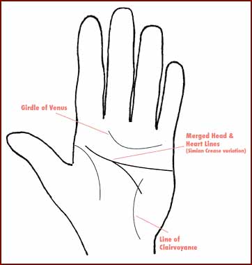 Hillary Clinton hand diagram