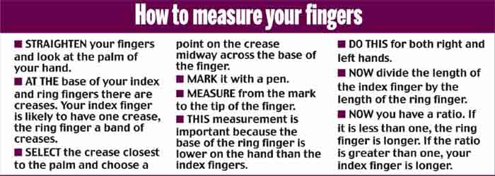 What our fingers can tell us: the finger ratio