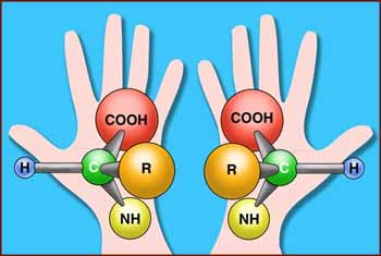 Left handed molecules