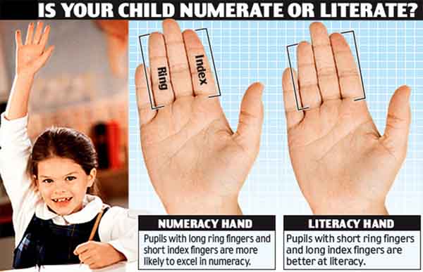 Finger morphology & palm reading: index finger vs. ring finger.