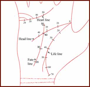 Palmistry: timing the lines of the hands.