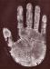 Handprints: the hands of Albert Einstein!