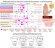 Psychodynamic profiles for simian line variations!