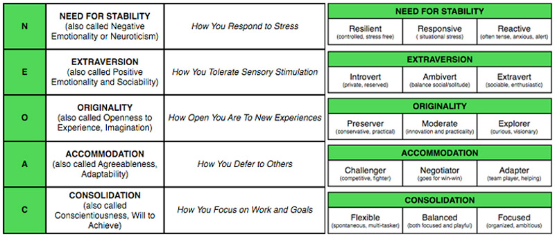 The Big Five personality factors.