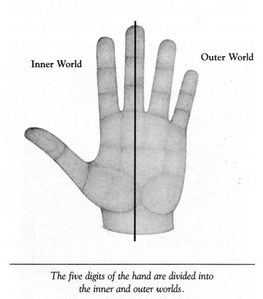 Thumb & radial fingers correlate with introvert and/or internalizing behavior!