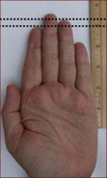 Digit ratio measurement