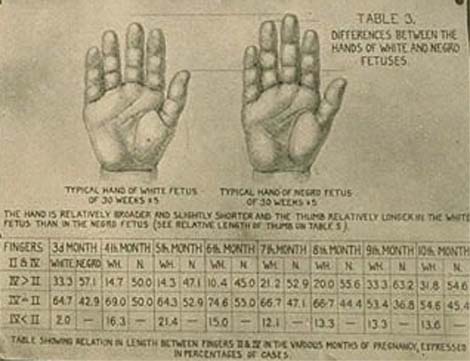 digit ratio sex differences stripper bass fishing hudson river ny