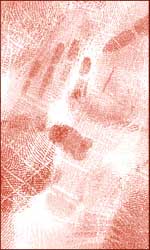 What fingerprints reveal