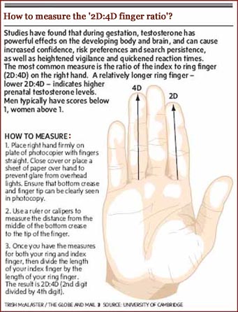 Finger length news & research