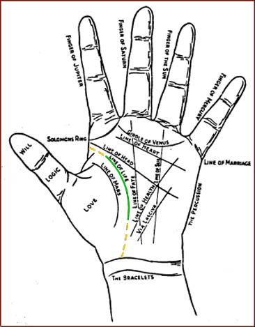 Palmistry: the hand lines & the life line.