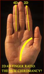 Is measuring the 2D:4D finger ratio the new chiromancy?