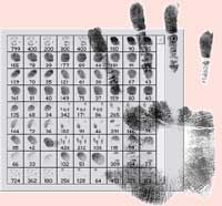 Palmprint and fingerprints