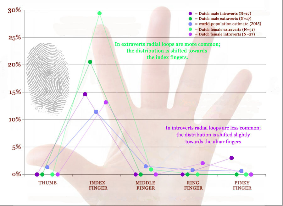 Radial loop fingerprints: distribution in extraverts & introverts.