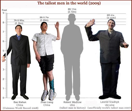 Zhao Liang belongs to the tallest man in the world, including Leonid Stadny, Bao Xishun & Robert Madlow.