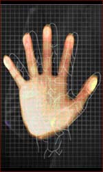 Vein pattern palm reading