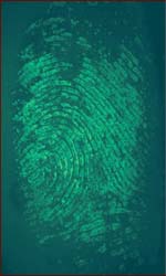 What fingerprints reveal: identiy, drugs & lifestyle