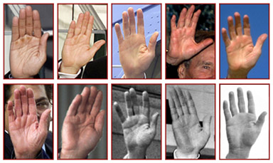 The hands of 10 US presidents