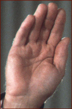 The right hand of Gerald Ford.