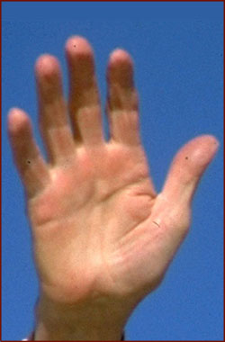 The right hand of Ronald Reagan.