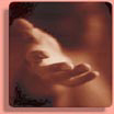 Palmistry News