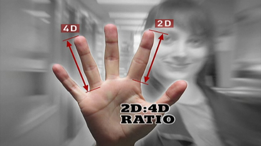 Hand news: 2D:4D digit ratio.