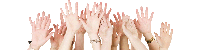 hands