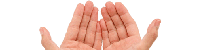 hands