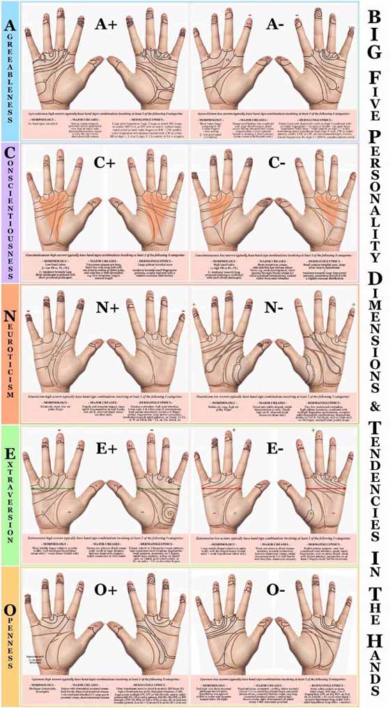 Big Five personality dimensions & tendencies in the hands! Big Five personality dimensions & tendencies in the hands!