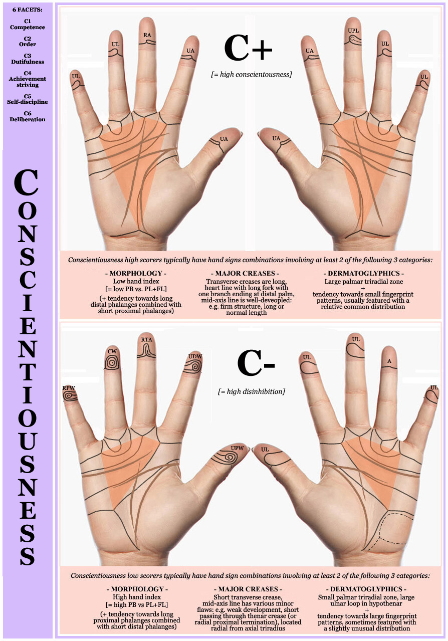 Phantom pictures describing hand constellations for conscientious personalities (C+) versus disinhibited personalities (C-).