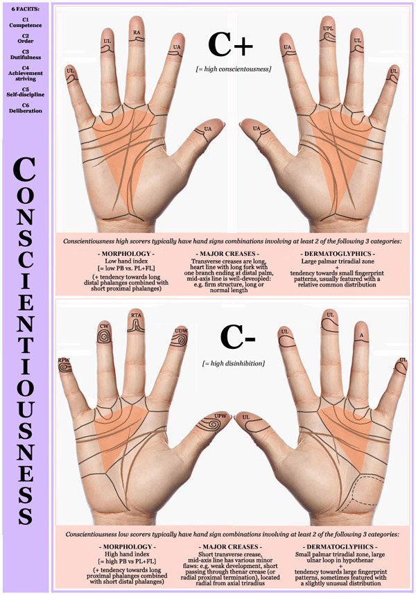 Hand chart for the Big Five dimension Conscientiousness - 6 facets: C1 Competence, C2 Order, C3 Dutifulness, C4 Achievement striving, C5 Self-discipline, C6 Deliberation.