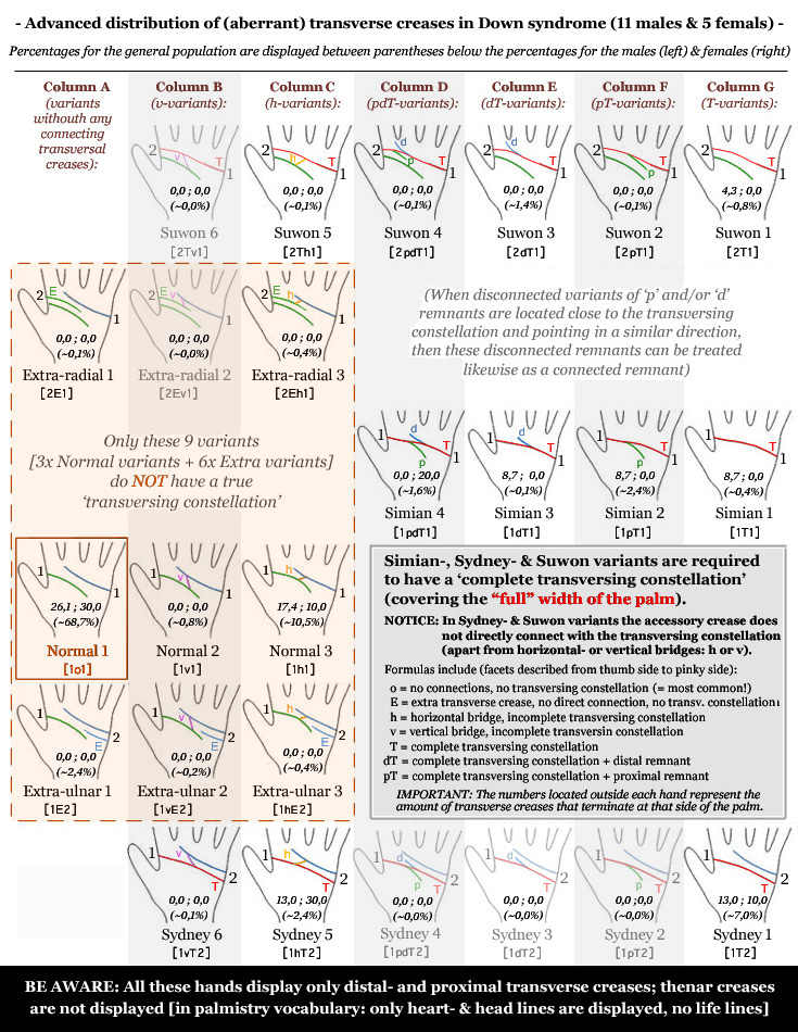 Distribution of (aberrant) palmar transverse creases in Down syndrome: Sydney creases, simian creases & Suwon creases.