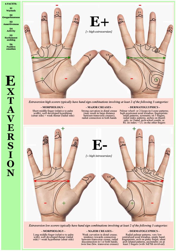 Hand chart for the Big Five dimension Extraversion - 6 facets: E1 Warmth, E2 Gregariousness, E3 Assertiveness, E4 Activity, E5 Excitement seeking, E6 Positive.