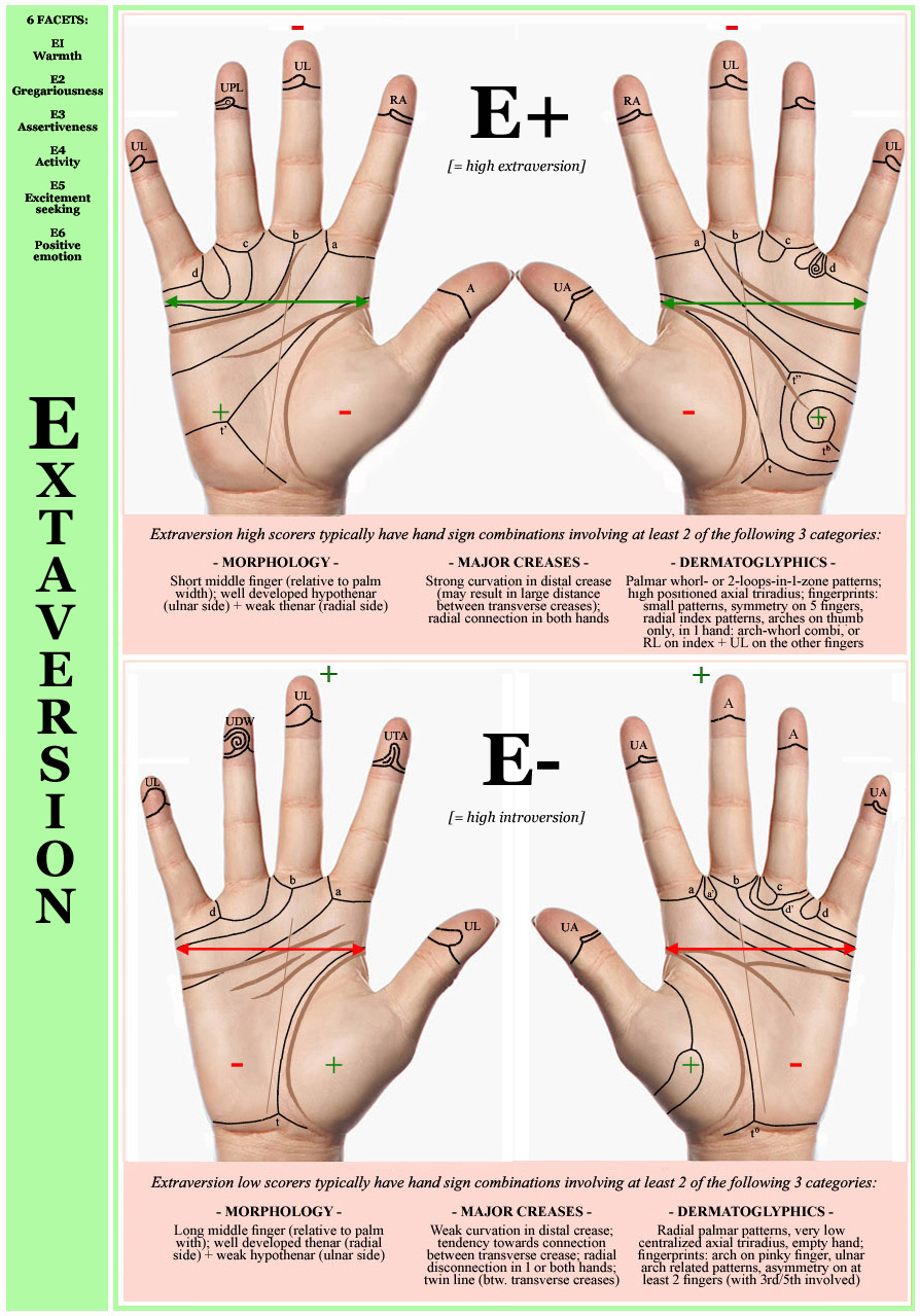 Hand chart for the Big Five personality dimension Extraversion (2017)