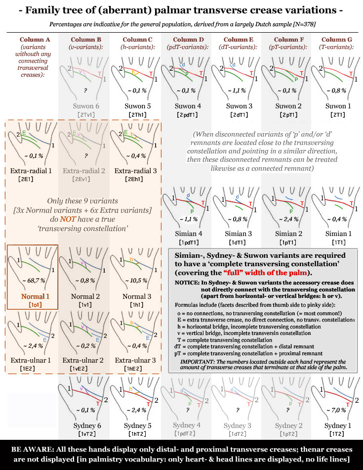 The advanced family tree of aberrant palmar transverse creases variations, including the simian line, Sydney line & Suwon line.