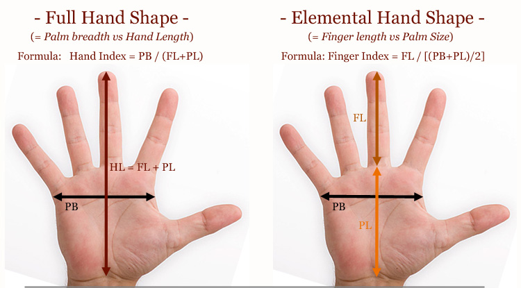 Full hand shape (= hand index) vs. Elemental hand shape (= finger index).