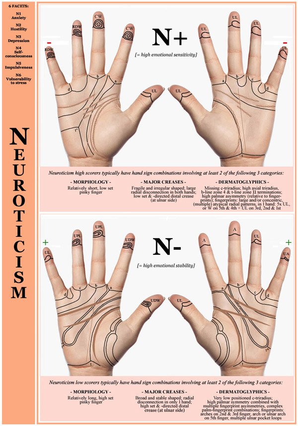 Hand chart for the Big Five dimension Neuroticism - 6 facets: N1 Anxiety, N2 Hostility, N3 Depression, N4 Self-consciousness, N5 Impulsiveness, N6 Vulnerability to stress.