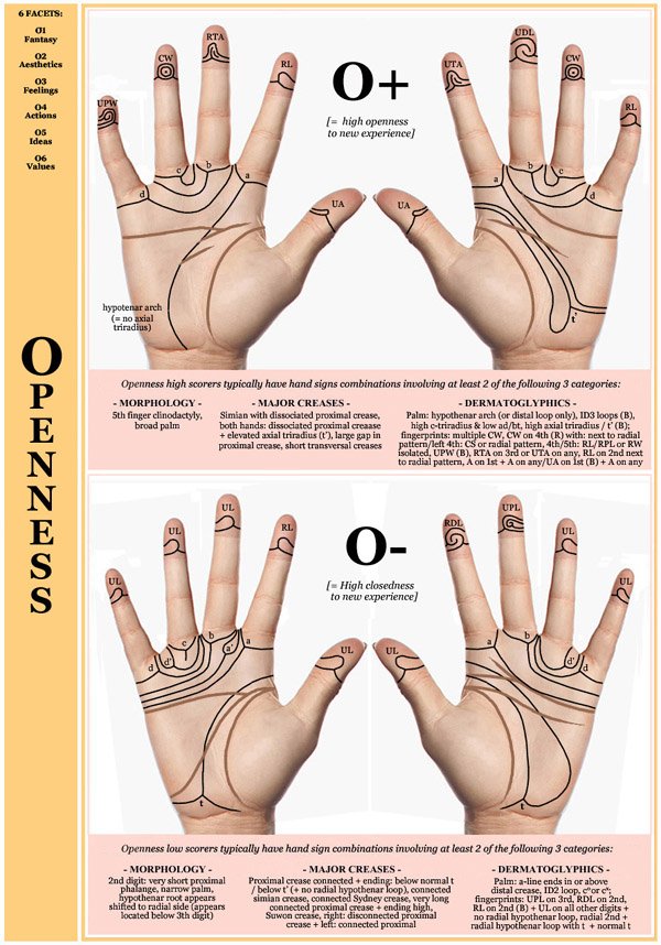 Hand chart for the Big Five dimension Openness - 6 facets: O1 Fantasy, O2 Aesthetics, O3 Feelings, O4 Actions, O5 Ideas, O6 Values.