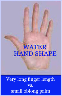 Water hand shape: very long finger length with small oblong palm.