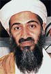 IDRlabs portrait: Osama Bin Laden.