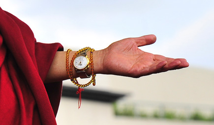 The Dalai Lama's left hand.