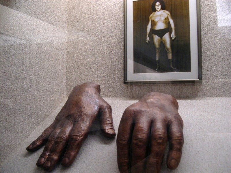 Hand Shape In Masculine Males 5 Extraordinary Performers 5 Hard Line Politicians