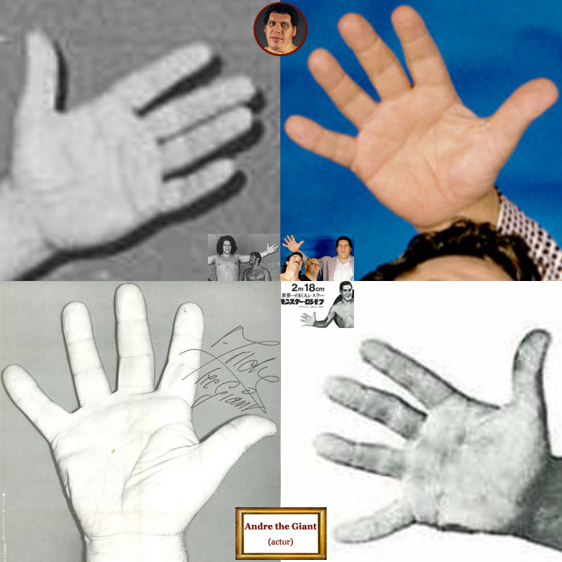 The hands of French actor Andre the Giant: photo impressions.