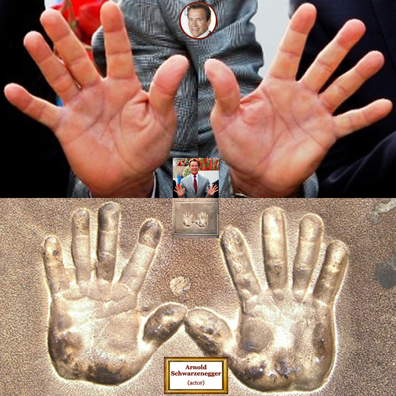 The hands of Austrian actor Arnold Schwarzenegger: photo impressions + hand prints.