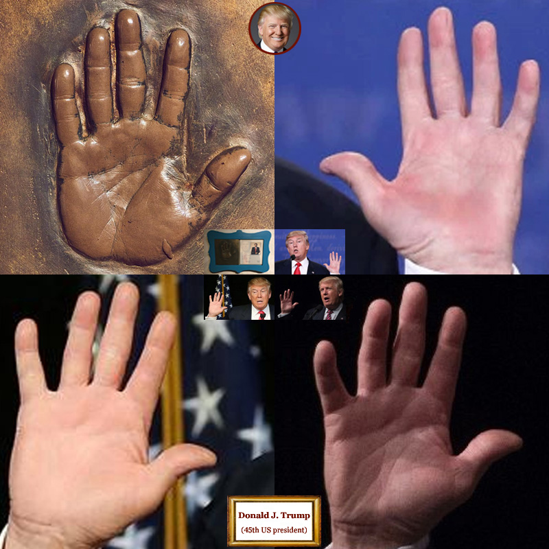 45th US president Donald Trump: hand shape impressions.