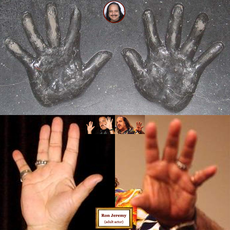 Ron Jeremy: hand shape assessment.