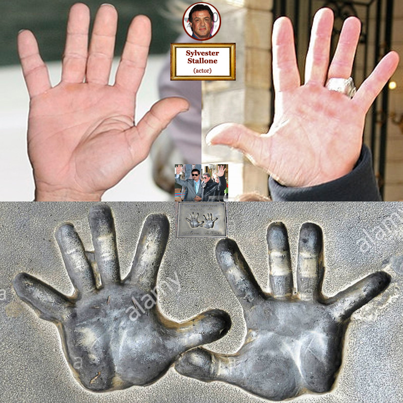 Sylvester Stallone: hand shape assessment.